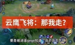 瓦罗兰特最新皮肤爆料视频