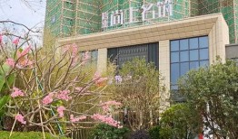 蛇姐最新爆料网页,最新爆料网页深度解析